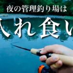 夜の管理釣り場でルアーを投げたら入れ食いに・・・【エリアトラウト】【ナイター】【ベリーズ迦葉山】