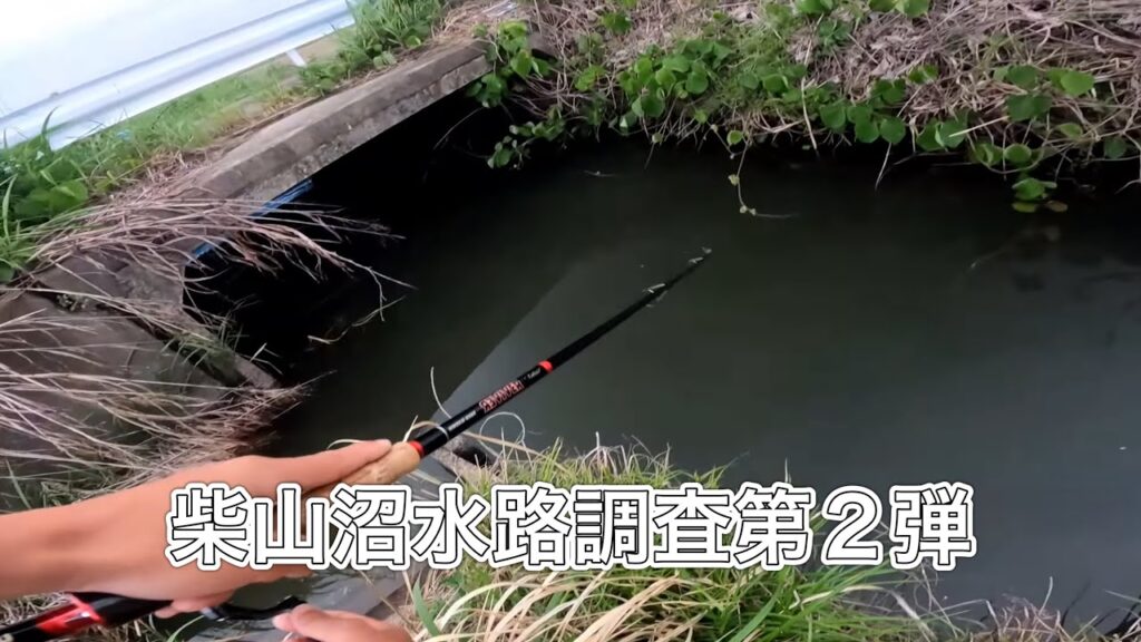 【調査第二弾？】柴山沼水路【バス釣り】