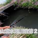 【調査第二弾？】柴山沼水路【バス釣り】