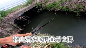 【調査第二弾？】柴山沼水路【バス釣り】