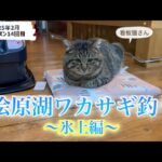 桧原湖ワカサギ釣り　#ワカサギ釣り #桧原湖 #釣り #氷上 #福島県