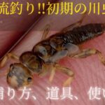 渓流釣り‼️初期の川虫‼️川虫の捕り方、道具、使い分け。