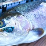 【執念】諦めずに"あのルアー"を投げ続け、ついに高級ブランドサーモンを釣り上げた！【エリアトラウト】【管理釣り場】