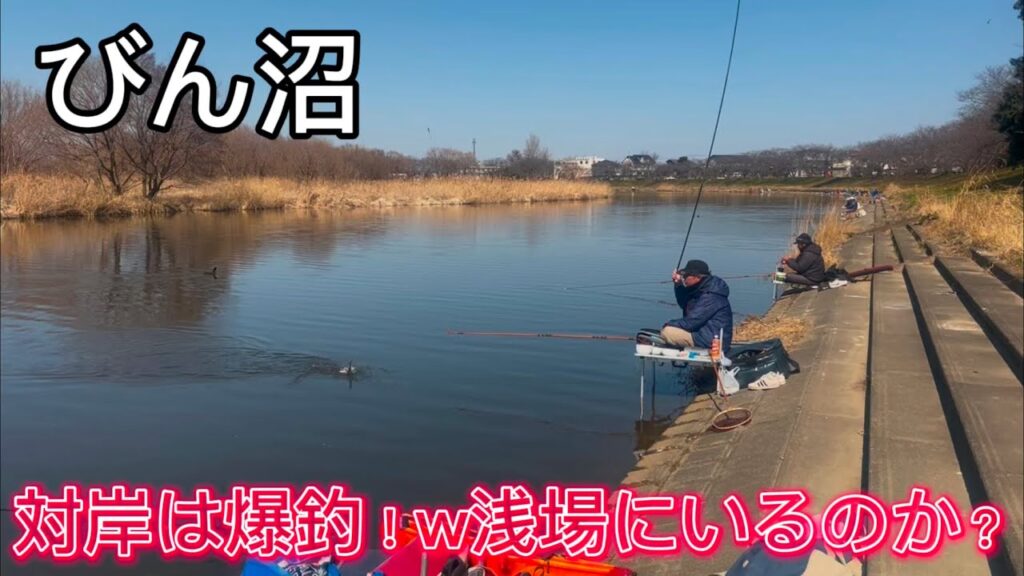 びん沼へらぶな釣り！放水路&どんぐり！対岸は爆釣！浅場にへらぶな溜まってるのかなぁ〜！