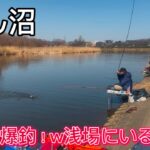 びん沼へらぶな釣り！放水路&どんぐり！対岸は爆釣！浅場にへらぶな溜まってるのかなぁ〜！