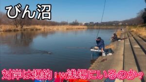 びん沼へらぶな釣り!放水路&どんぐり!対岸は爆釣!浅場にへらぶな溜まってるのかなぁ〜!
