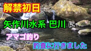解禁初日の矢作川水系 巴川に釣査に行きました アマゴ釣り