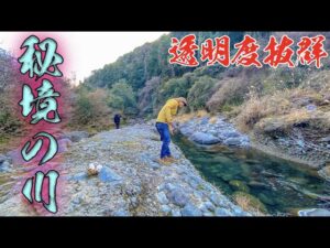 山奥で過去最高の透明度の川を見つけて釣りをしたら・・・