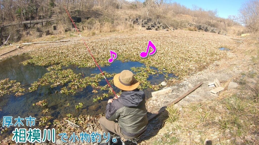 相模川のワンドは面白いー！ 水温が高い湧水ポイント見つけた♪  厚木市 相模川で小物釣り。