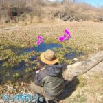 相模川のワンドは面白いー！ 水温が高い湧水ポイント見つけた♪  厚木市 相模川で小物釣り。