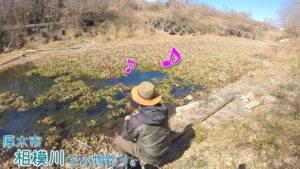 相模川のワンドは面白いー！ 水温が高い湧水ポイント見つけた♪  厚木市 相模川で小物釣り。