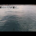 浜名湖釣り禁止×閉鎖エリアが遂に開放！【浜名湖釣り】🎣