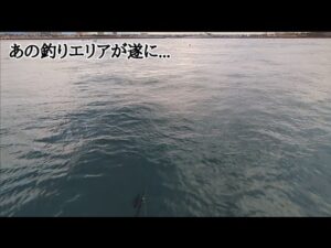 浜名湖釣り禁止×閉鎖エリアが遂に開放！【浜名湖釣り】🎣