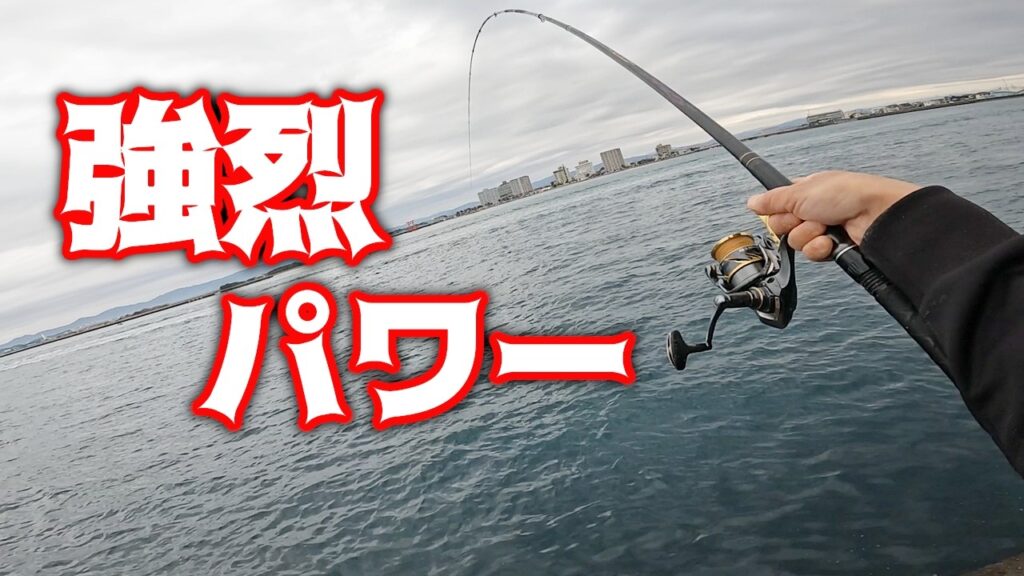 【紀州釣り】強烈パワーの浜名湖のチヌ！容赦ない引きに腕がパンパン【黒鯛釣り】【釣武者】