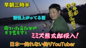 【釣り】早朝三時半に活性の高い沼にミミズを垂らしたらこんな事になった！