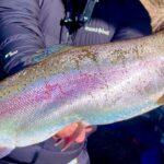 巨大魚ひしめく管釣りで極上赤身サーモン釣って食う【エリアトラウト】【管理釣り場】【黒保根フィッシング】