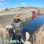 この場所ヤバっ！魚が湧いてくる！！     羽村市の多摩川で小物釣り♪