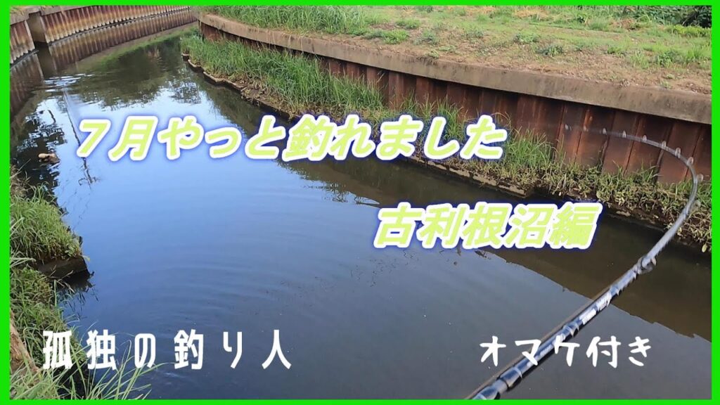 【バス釣り】古利根沼釣行編　２か月ぶりに釣れました