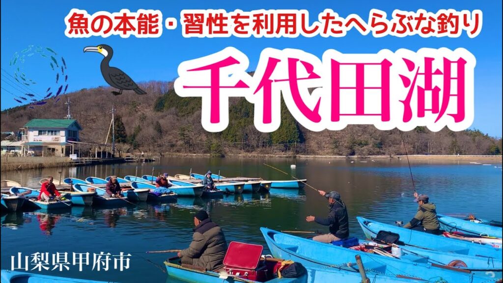 魚の本能・習性を利用した釣り  千代田湖 へらぶな釣り