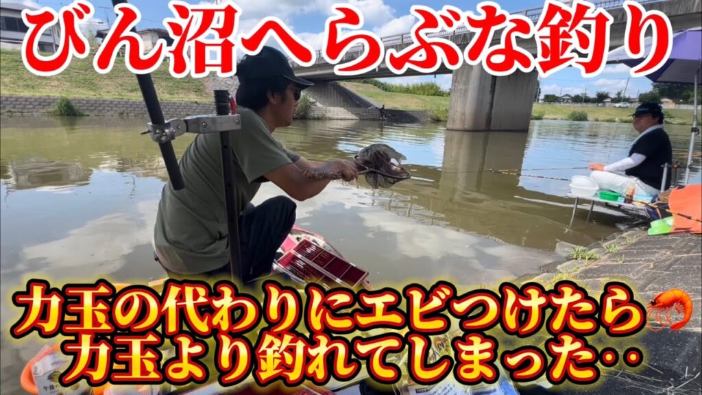 びん沼でへらぶな釣り！力玉の代わりにエビつけたら力玉より釣れてしまった‥どゆこと‥w