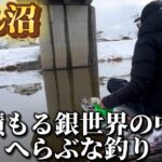 大雪直後のびん沼でへらぶな釣り。幻想的だか‥寒いw
