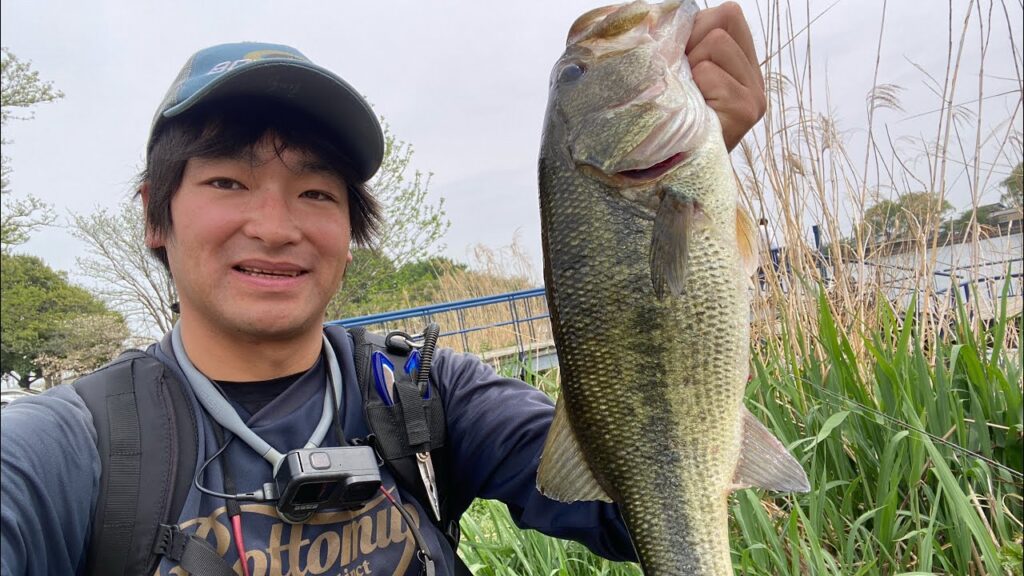 近藤沼で春爆！？デカバス連発で楽しかった1日！