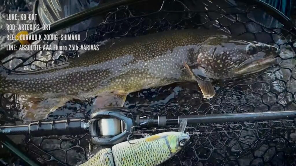 とある中禅寺湖の1日 - K9/Erie115/HOO155