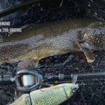 とある中禅寺湖の1日 - K9/Erie115/HOO155