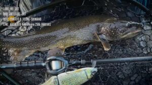 とある中禅寺湖の1日 - K9/Erie115/HOO155