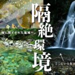 「100年前」の末裔はいた！滝に隠された最源流には何が泳ぐ？【渓流釣り】