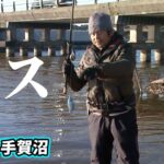 田辺哲男が春の手賀沼でビッグバスを追う 1/2 『Go for it！ 139』【釣りビジョン】