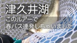 津久井湖で1日20本以上釣れた釣り方