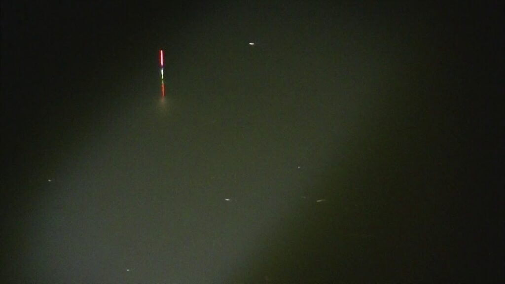 別所沼釣り映像2018.8.17.19：31