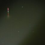 別所沼釣り映像2018.8.17.19：31