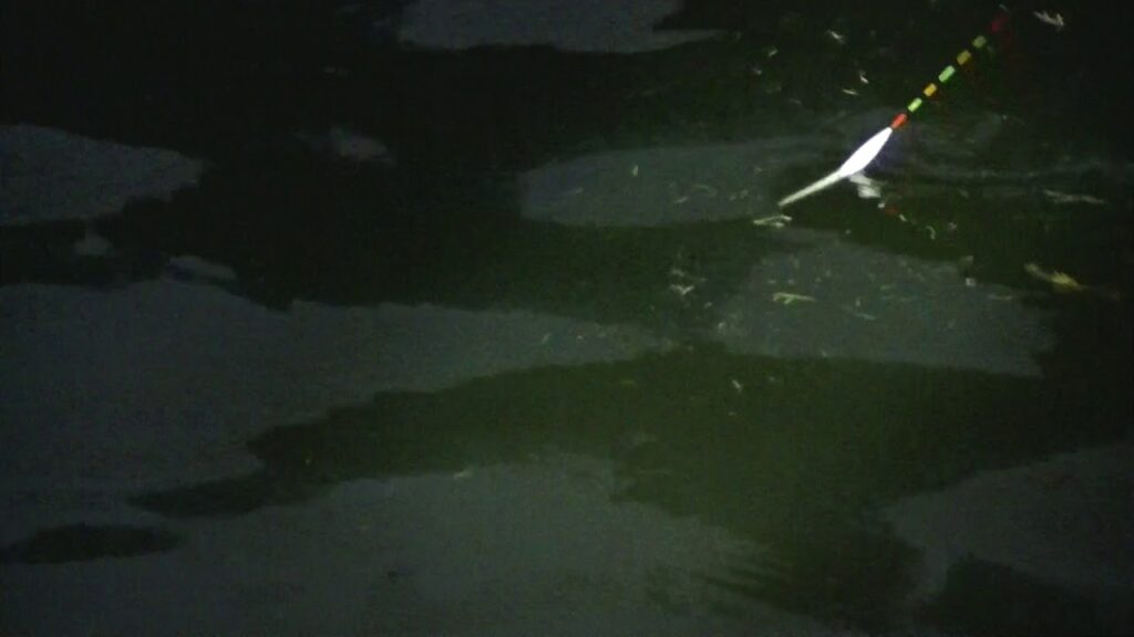 別所沼釣り映像2018.8.18.18.52