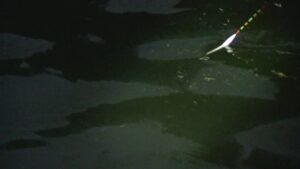 別所沼釣り映像2018.8.18.18.52