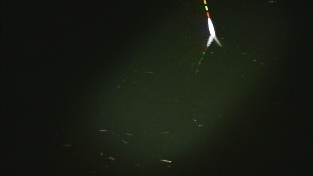 別所沼釣り映像2018.8.18.20.02