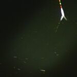 別所沼釣り映像2018.8.18.20.02