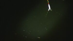 別所沼釣り映像2018.8.18.20.02