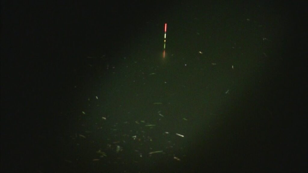 別所沼釣り映像2018.8.18.20.04