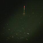 別所沼釣り映像2018.8.18.20.04