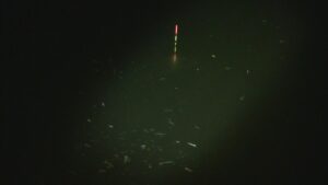 別所沼釣り映像2018.8.18.20.04