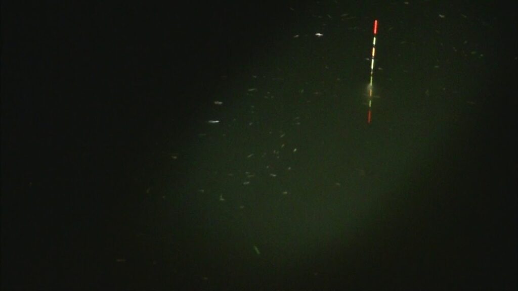 別所沼釣り映像2018.8.18.20.08