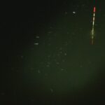 別所沼釣り映像2018.8.18.20.08