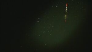 別所沼釣り映像2018.8.18.20.08