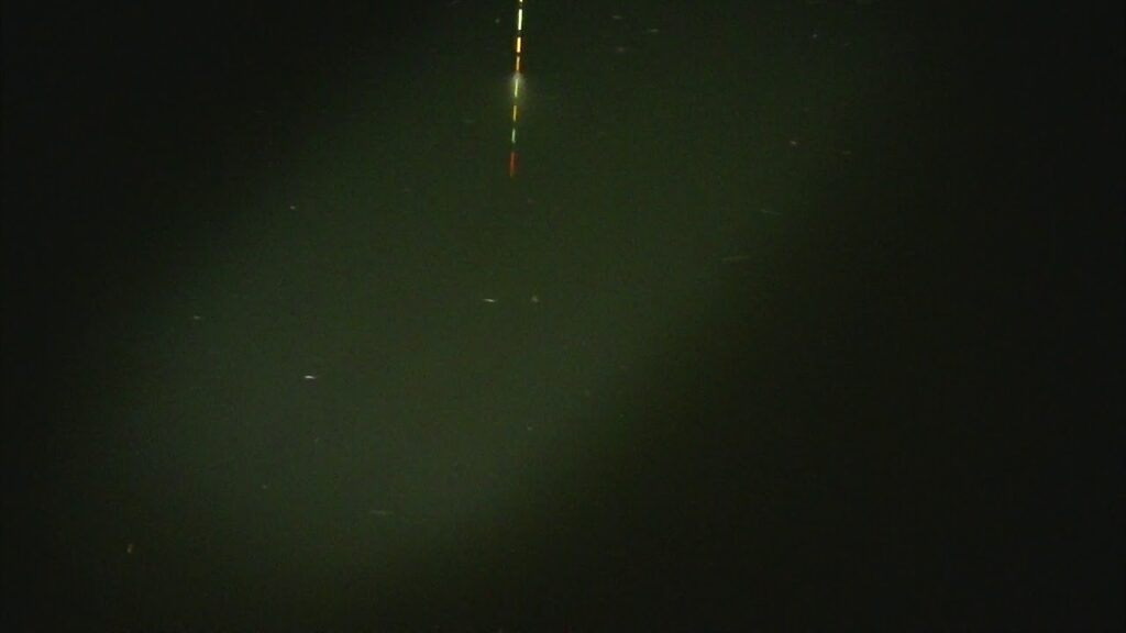 別所沼釣り映像2018.8.18.20.54