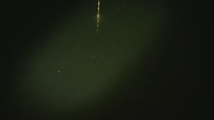 別所沼釣り映像2018.8.18.20.54