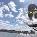 【かなた】【ブラックバス】沼が沼で沼釣り♡外配信♡。・゜ 【ニコ生】2021/04/10