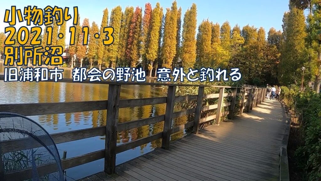 小物釣り・別所沼（埼玉県）・2021/11/3