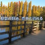 小物釣り・別所沼（埼玉県）・2021/11/3